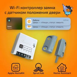 Контроллер управления замком Sonoff mini door lock Apple HomeKit