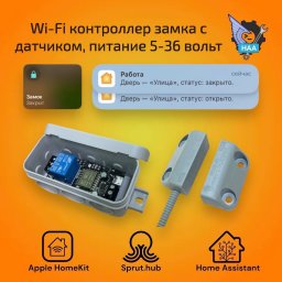 Контроллер замка калитки с датчиком положения двери 5/12/24/36 вольт Apple HomeKit